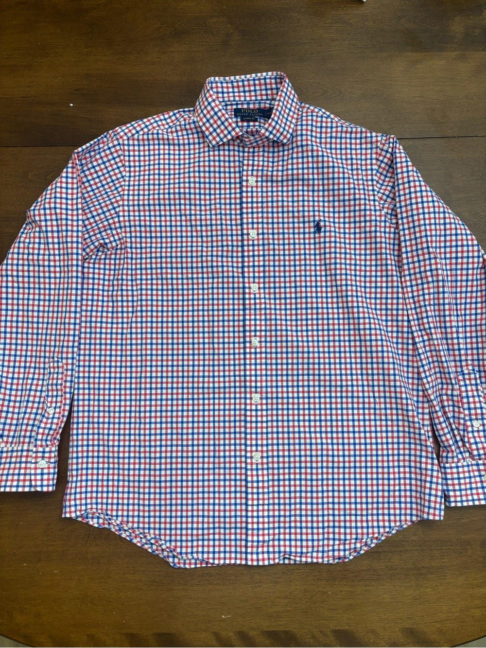 Polo by Ralph Lauren Red & Blue Checked Cotton Button-Down Shirt